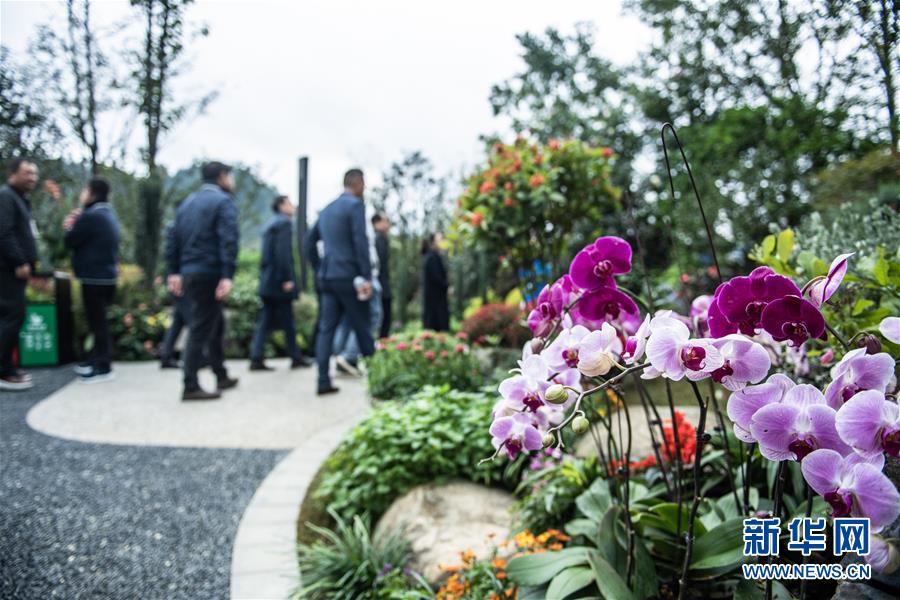 (圖文互動)(5)以自然之道,養萬物之生——第四屆中國綠化博覽會亮點掃描